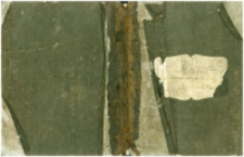 Rękopisy Romualda Zientarskiego