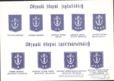 Odznaki stopni żeglarskich i instruktorskich