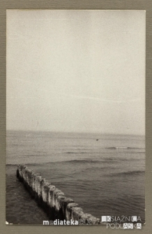 Drewniane pale na brzegu morza, Ustka, 1979 r.