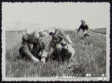 Dziewczynki zbierają ślimaki nad brzegiem rzeki Nereśl, Czechowizna, lata 50. XX w.