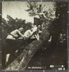 Grupka harcerek hufca Związku Harcerstwa Polskiego w Białej Podlaskiej pozuje do zdjęcia na powalonym pniu drzewa, Biała Podlaska, lata 40. XX w.