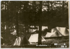 Obozowisko harcerzy wśród drzew