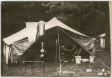 Namiot na tle lasu na obozie harcerskim