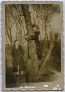 Młodzi ludzie na drzewie nad stawem obok ul. Choroszczańskiej, Starosielce, marzec 1954 r.