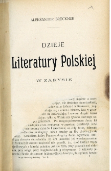 Dzieje literatury polskiej w zarysie. T. 2