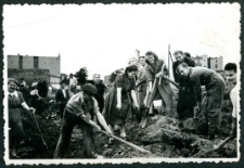 Praca społeczna młodzieży z Zakład&oacute;w Przemysłu Bawełnianego im. 1-go Maja w dzielnicy Bałuty