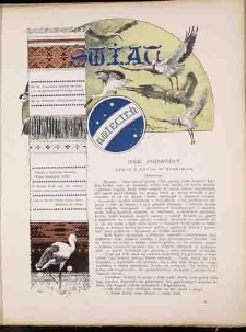 Świat 1893, R. 6, nr 6