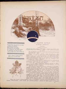 Świat 1893, R. 6, nr 20