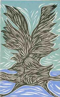 Przyroda Polski północno-wschodniej : informator do wystawy w Muzeum Okręgowym w Białymstoku (luty-marzec 1980 r.)