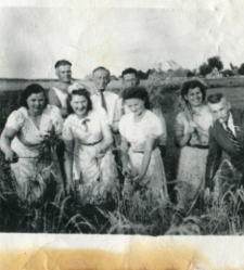 Rodzina Teulów i Żmijewskich podczas prac polowych