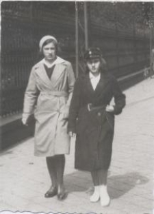 Dwie dziewczyny przy ogrodzeniu parku miejskiego