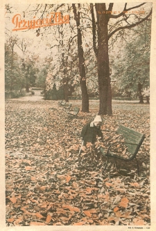 Przyjaciółka 1970 nr 43