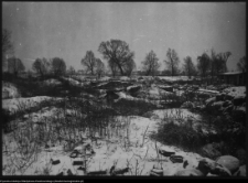 Tykocin, ruiny zamku