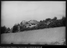 Suliszowice, ruiny strażnicy