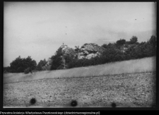 Suliszowice, ruiny strażnicy