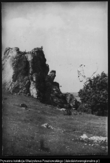 Suliszowice, ruiny strażnicy