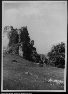 Suliszowice, ruiny strażnicy