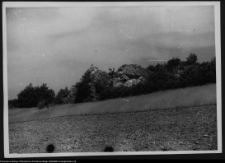 Suliszowice, ruiny strażnicy