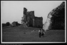 Mir&oacute;w, ruiny zamku