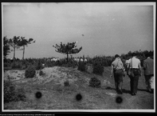 Mir&oacute;w, ruiny zamku