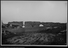 Ogrodzieniec, ruiny zamku