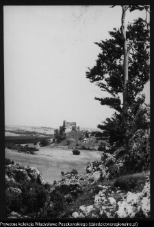 Ogrodzieniec, ruiny zamku