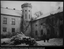 Pieskowa Skała, zamek i jego otoczenie