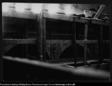 Pieskowa Skała, zamek i jego otoczenie