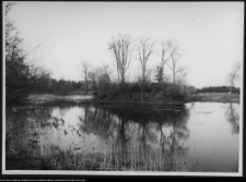 Ostrożany, park i zabudowa dworska