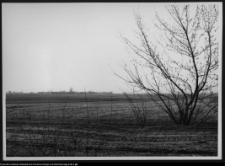 Ostrożany, park i zabudowa dworska