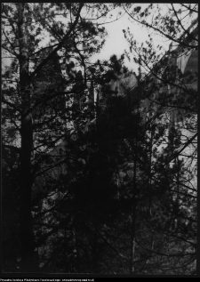 Wiadukt kolejowy w Kiepojciach i Stańczykach