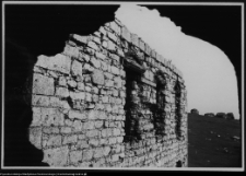 Ogrodzieniec, ruiny zamku