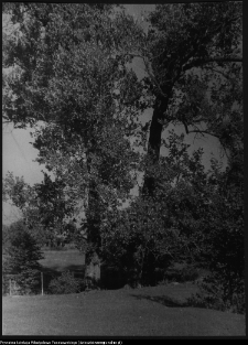 Pogranicze p&oacute;łnocnego Podlasia i wschodniego Mazowsze