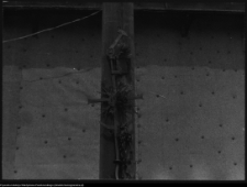 Kozińce, chałupy wiejskie