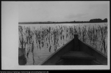 Krajobraz antropo-kulturowy