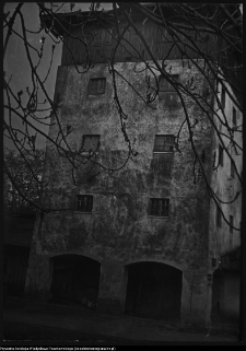 R&oacute;żyńsk Wielki, młyn