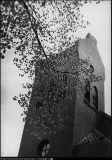 Rogale, kości&oacute;ł