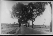 August&oacute;w i okolice