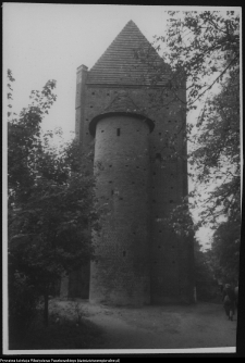 Szamotuły, baszta Halszki, zwana r&oacute;wnież Basztą Czarnej Księżniczki