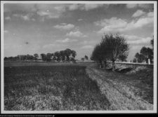 August&oacute;w i okolice