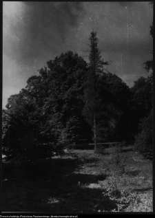 August&oacute;w i okolice