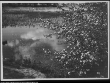 August&oacute;w i okolice