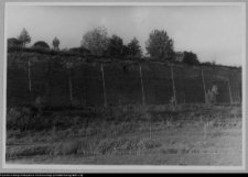 Wigry : zesp&oacute;ł klasztorno-kościelny