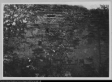 Wigry : zesp&oacute;ł klasztorno-kościelny