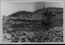 Supraśl, pobazyliański zesp&oacute;ł cerkiewno-klasztorny