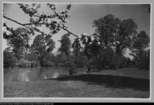 Bęćkowo, ogr&oacute;d dworski