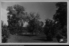 Bęćkowo, ogród dworski