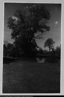 Bęćkowo, ogr&oacute;d dworski