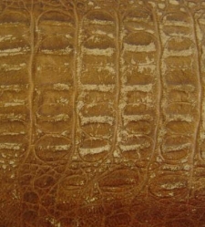 Pamiętnik J&oacute;zefy Grzymkowskiej