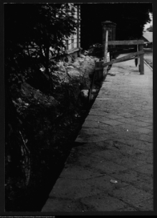 Supraśl, pałac Buchholtzów